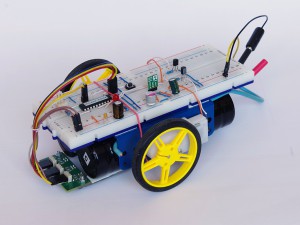 Robrouka řídí procesor.